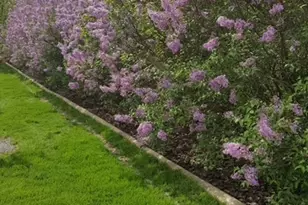 537 Erma Dr, Lake Holiday, IL 60552 - Photo 33