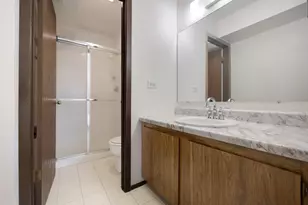 854 E Carriage Ln, Palatine, IL 60074 - Photo 15