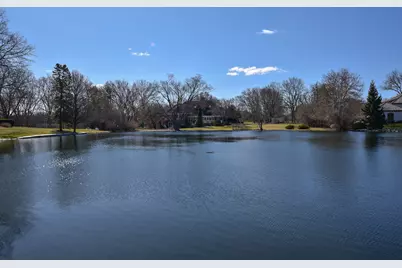 1620 Pheasant Trail, Inverness, IL 60067 - Photo 29