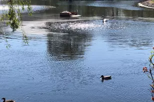 150 Lake Blvd, Buffalo Grove, IL 60089 - Photo 37