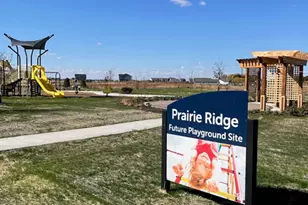 444 Vista Dr, Hampshire, IL 60140 - Photo 25