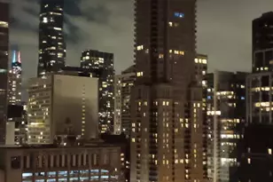 100 E Bellevue Pl, Chicago, IL 60611 - Photo 19