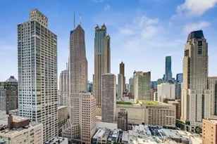 100 E Bellevue Pl, Chicago, IL 60611 - Photo 19