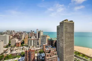 100 E Bellevue Pl, Chicago, IL 60611 - Photo 29