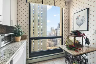 100 E Bellevue Pl, Chicago, IL 60611 - Photo 25