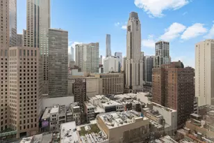 100 E Bellevue Pl, Chicago, IL 60611 - Photo 5