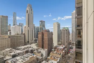 100 E Bellevue Pl, Chicago, IL 60611 - Photo 11