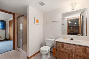 8966 Jeanie Ln, Frankfort, IL 60423 - Photo 27