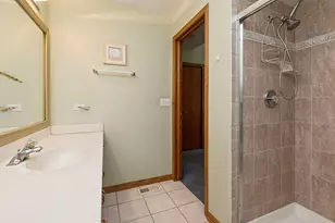 8966 Jeanie Ln, Frankfort, IL 60423 - Photo 15