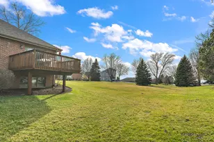 8966 Jeanie Ln, Frankfort, IL 60423 - Photo 35