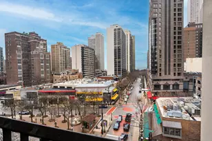 1030 N State St, Chicago, IL 60610 - Photo 29