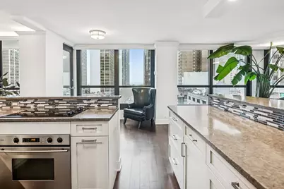1030 N State Street #2GH, Chicago, IL 60610 - Photo 9
