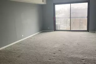 830 Elder Rd, Homewood, IL 60430 - Photo 9