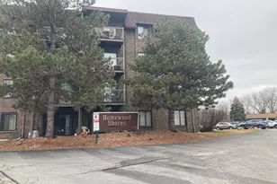 830 Elder Rd, Homewood, IL 60430 - Photo 3