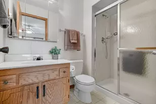 10536 Illinois Ct, Orland Park, IL 60467 - Photo 23