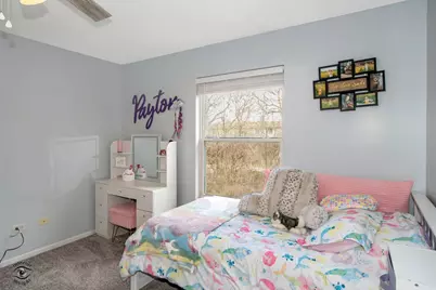 25181 Faraday Road, Manhattan, IL 60442 - Photo 15