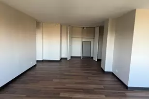 4850 S Lake Park Ave, Chicago, IL 60615 - Photo 3