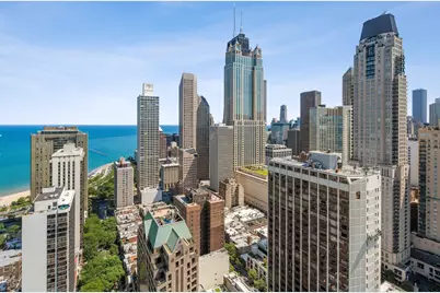1030 N State Street #39E, Chicago, IL 60610 - Photo 17