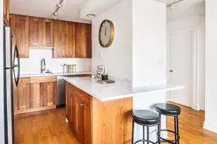 450 W Briar Pl, Chicago, IL 60657 - Photo 11