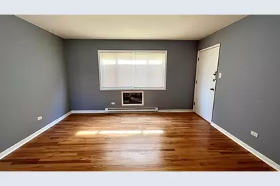 9106 S Halsted Street #1E, Chicago, IL 60620 - Photo 5