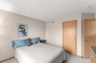 24303 Linden Ln, Plainfield, IL 60585 - Photo 29