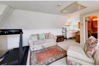 317 N Cuyler Avenue, Oak Park, IL 60302 - Photo 35