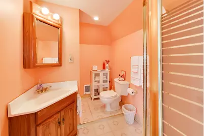 317 N Cuyler Avenue, Oak Park, IL 60302 - Photo 39
