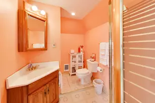317 N Cuyler Ave, Oak Park, IL 60302 - Photo 39
