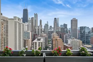 1313 N Ritchie Ct, Chicago, IL 60610 - Photo 31