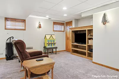 276 Shipland Drive, Crystal Lake, IL 60014 - Photo 33