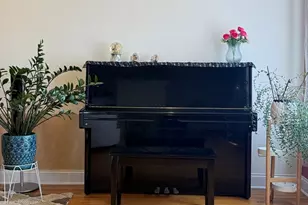 4505 S Drake Ave, Chicago, IL 60632 - Photo 7