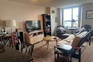 [Address not provided], Chicago, IL 60611 - Photo 11