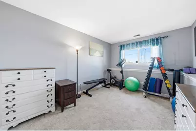 8338 W Chestnut Court, Frankfort, IL 60423 - Photo 19