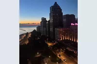 1000 N Lake Shore Drive #2009, Chicago, IL 60611 - Photo 9