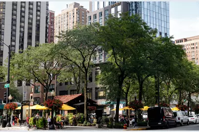 1000 N Lake Shore Drive #2009, Chicago, IL 60611 - Photo 35