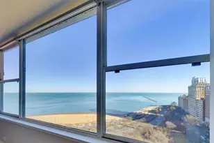 1000 N Lake Shore Dr, Chicago, IL 60611 - Photo 11