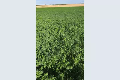 3292 E 24th Road, Marseilles, IL 61341 - Photo 23