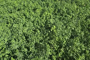 3292 E 24th Rd, Marseilles, IL 61341 - Photo 23