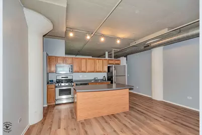 1525 S Sangamon Street #315P, Chicago, IL 60608 - Photo 9