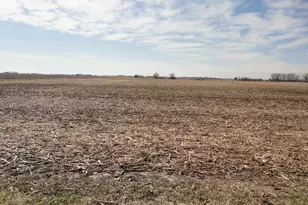 0000 Parcel#8 McKanna Rd, Minooka, IL 60447 - Photo 1