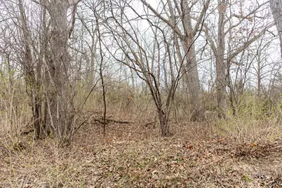 Lot 19 & Lot 18 Williams Road, Lake Marian, IL 60110 - Photo 5