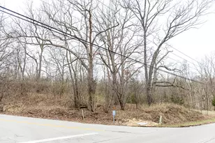 Lot 19 & Lot 18 Williams Rd, Lake Marian, IL 60110 - Photo 1