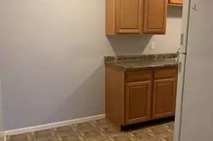 407 E Seminole Street E, Dwight, IL 60420 - Photo 5