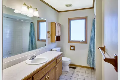 16447 Timberview Drive, Plainfield, IL 60586 - Photo 11