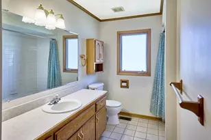 16447 Timberview Dr, Plainfield, IL 60586 - Photo 11