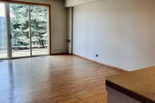 709 Blossom Ct, Naperville, IL 60540 - Photo 9