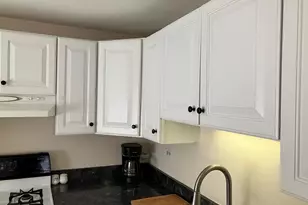 1436 Millbrook Ct, Schaumburg, IL 60193 - Photo 13