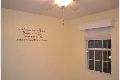 161 Springbrook Trail S, Oswego, IL 60543 - Photo 13