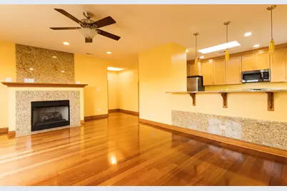 301 S Leavitt Street #4S, Chicago, IL 60612 - Photo 3