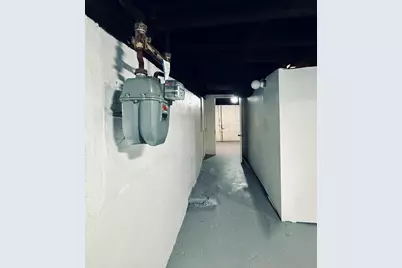 11725 S Morgan Street, Chicago, IL 60643 - Photo 37